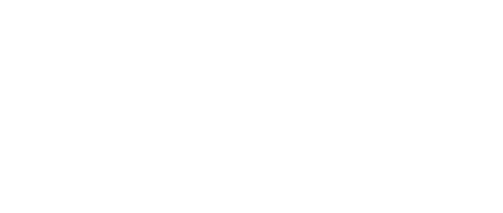 Satine Institut